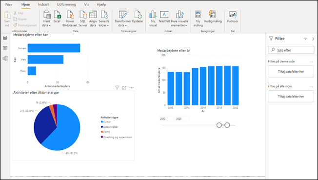 Power BI-rapport med medarbejdere fordelt på køn og år og aktiviteter fordelt på type